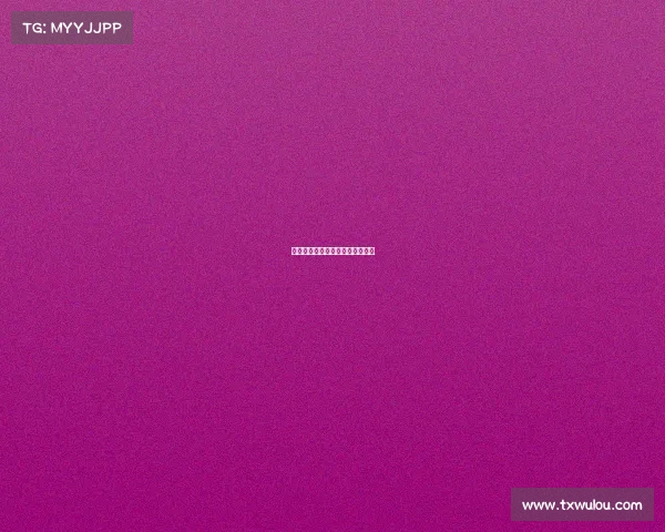 欧洲赛事参赛记录、欧洲赛事安排